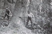 RC 2015.0.2.1 Bishop Interview Image Number 86